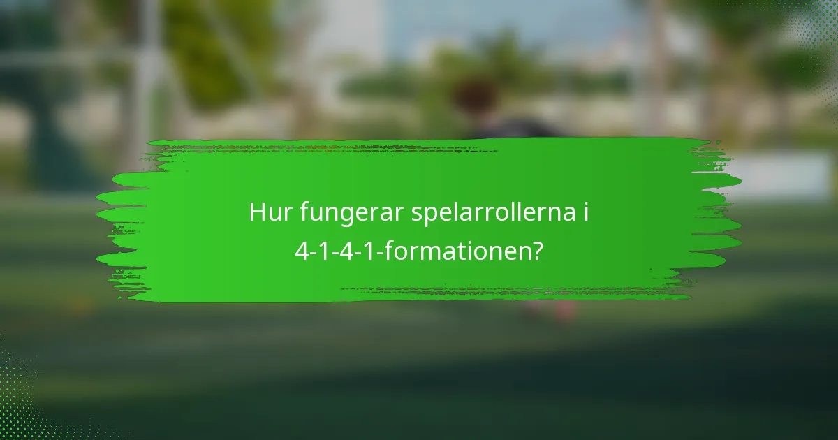 Hur fungerar spelarrollerna i 4-1-4-1-formationen?
